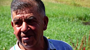 Pequeños campesinos Foto: Pablo Figueroa