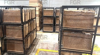 Desmantelan fábrica clandestina de cigarros en el Estado de México: deja afectaciones al mercado ilegal de hasta 330 mdp. FGR