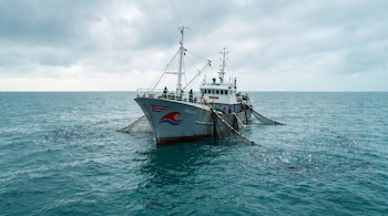 Un barco pesquero gris con una ola roja y azul en la proa está en un mar verde-azul turbio bajo un cielo nublado, con redes parcialmente vacías y peces escasos visibles bajo el agua.