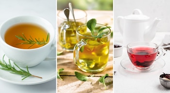 Descubre las diferencias claves entre