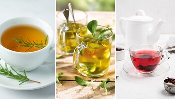 Cuáles son las diferencias entre