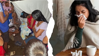 Gripe H3N2 acapara atención, pero