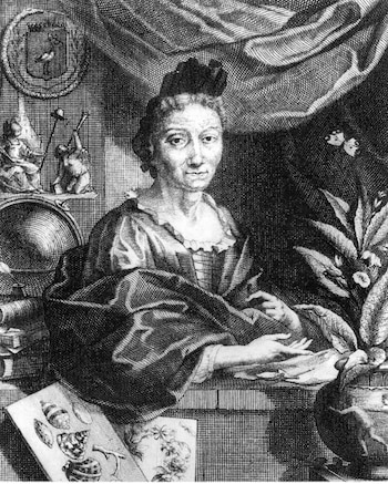 Grabado en blanco y negro de Maria Sibylla Merian, una mujer sentada con un vestido de época, rodeada de objetos científicos como un globo, libros, plantas y mariposas