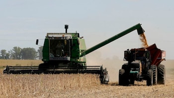 Logística en el agro: un