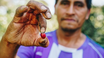 ¿Cómo la ciencia salvadoreña transformó