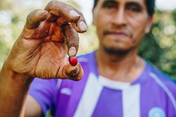 La Universidad de El Salvador