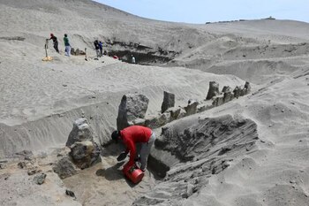 Restos humanos del periodo Salinar