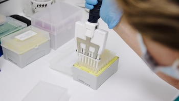 La OMS eleva a seis los casos confirmados de hantavirus tras el positivo de un contagio sospechoso