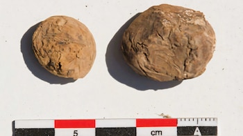 Desentierran dos papas de 500 años en un yacimiento inca de Perú: el dato que sorprendió a científicos