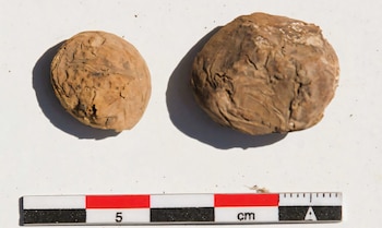 Papas liofilizadas (chuño) de Tambo Viejo, Perú (Crédito: LM Valdez en Valdez y Bettcher 2026)