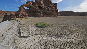 Puerto Deseado: de vacaciones tras