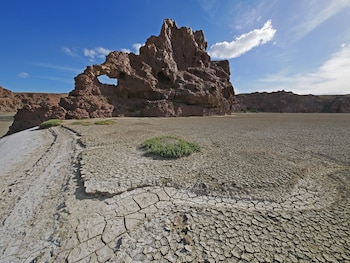 Crédito Campamento Darwin / Fotógrafo