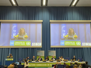 Viceministra Laura Gil en el