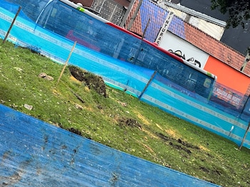 El proyecto del Corredor Verde implica la tala o traslado de más de 3.000 árboles, afectando servicios ecosistémicos y la coherencia ambiental - crédito @KatheGaravitoC/X