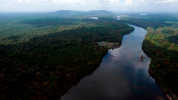 El río Esequibo en la zona de Kurupukari en Guyana, el 19 de noviembre del 2023. (AP foto/Juan Pablo Arraez)