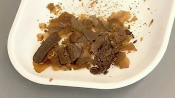 Restos fecales hallados en el