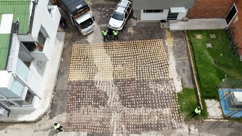 El conductor tendrá que responder