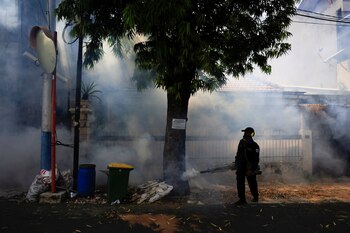 Cambio climático incrementa el riesgo