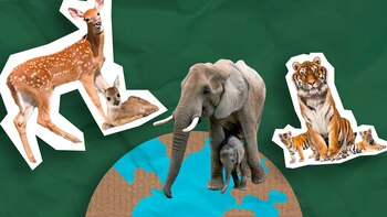 El estudio afirmó que el