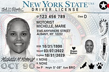 Primer plano de una licencia de conducir del Estado de Nueva York con la foto de una mujer sonriendo, su nombre Michelle Marie Motorist, ID y fecha de caducidad