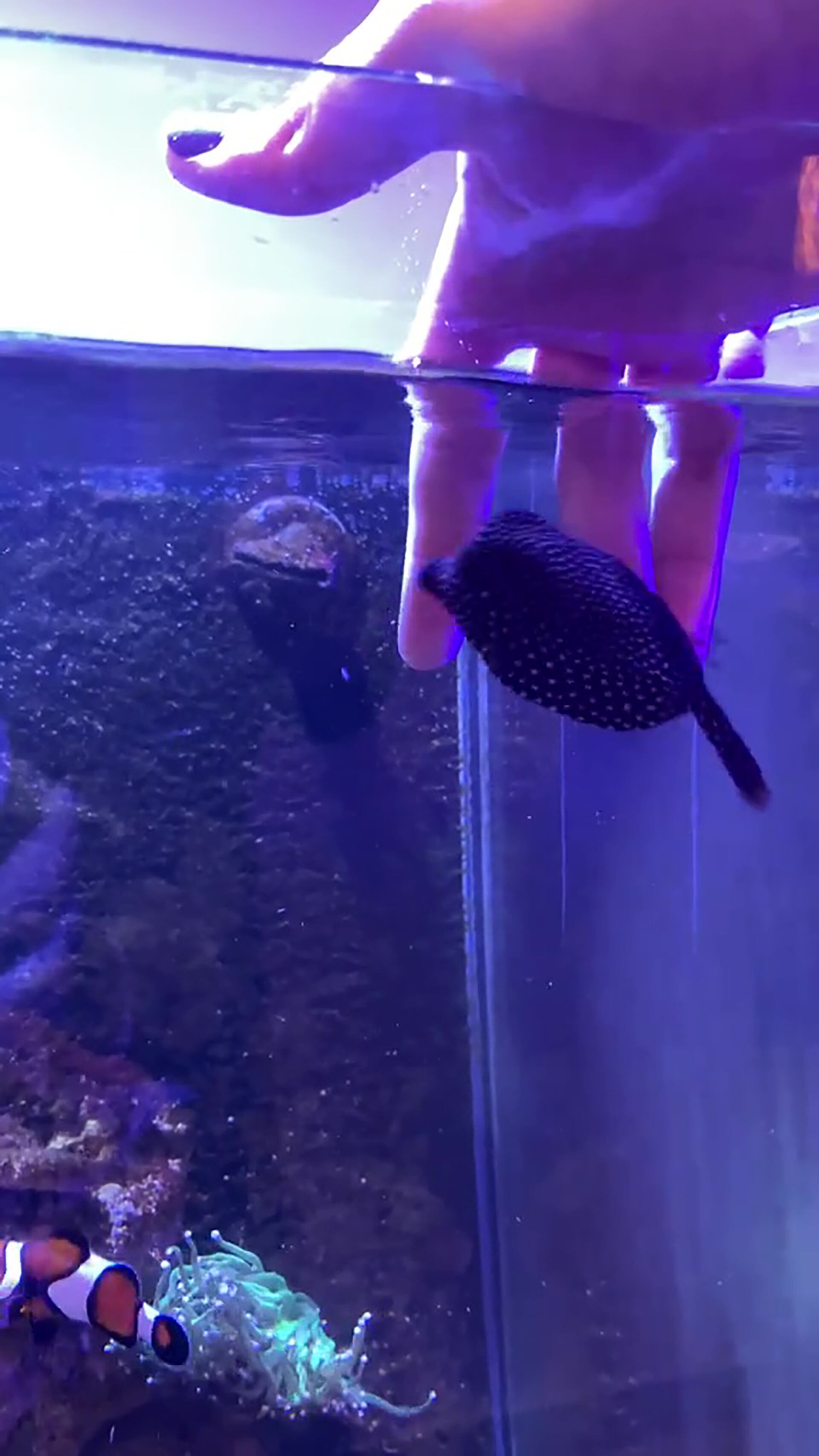 El vínculo entre Globi y su dueña se fortalece con rutinas diarias de alimentación y caricias tras la comida