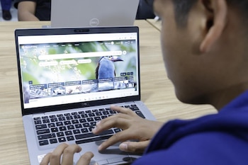 Joven sentado de espaldas usando una laptop Dell abierta en la página de inicio de Microsoft Bing. Sus manos están sobre el teclado y el touchpad