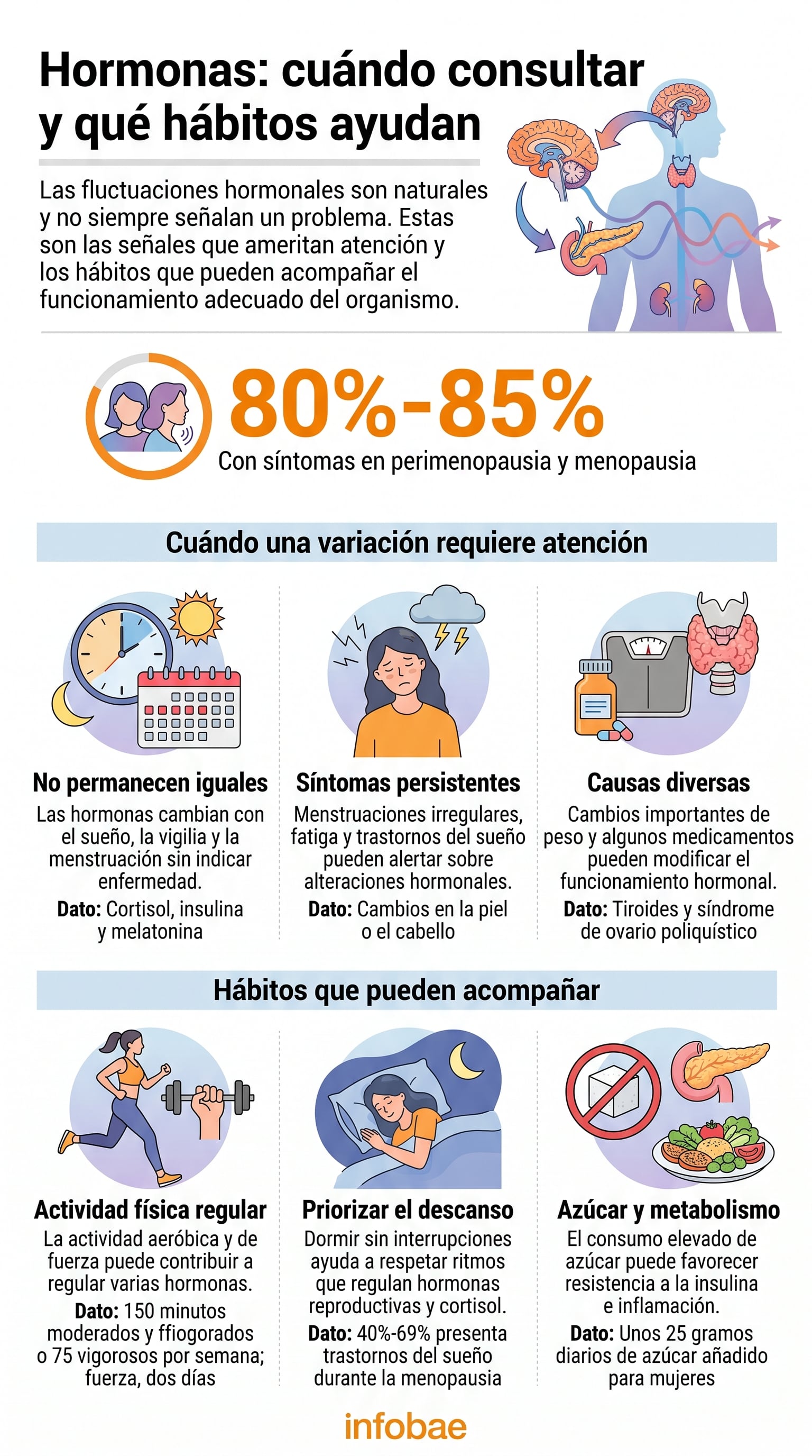 El estrógeno, la progesterona, el cortisol, las hormonas tiroideas, la insulina y la melatonina cumplen funciones clave en el equilibrio hormonal del organismo (Imagen Ilustrativa Infobae)