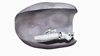 Así era la posición de