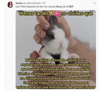 Usuarios compartieron memes de las