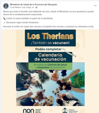 Así es el afiche de