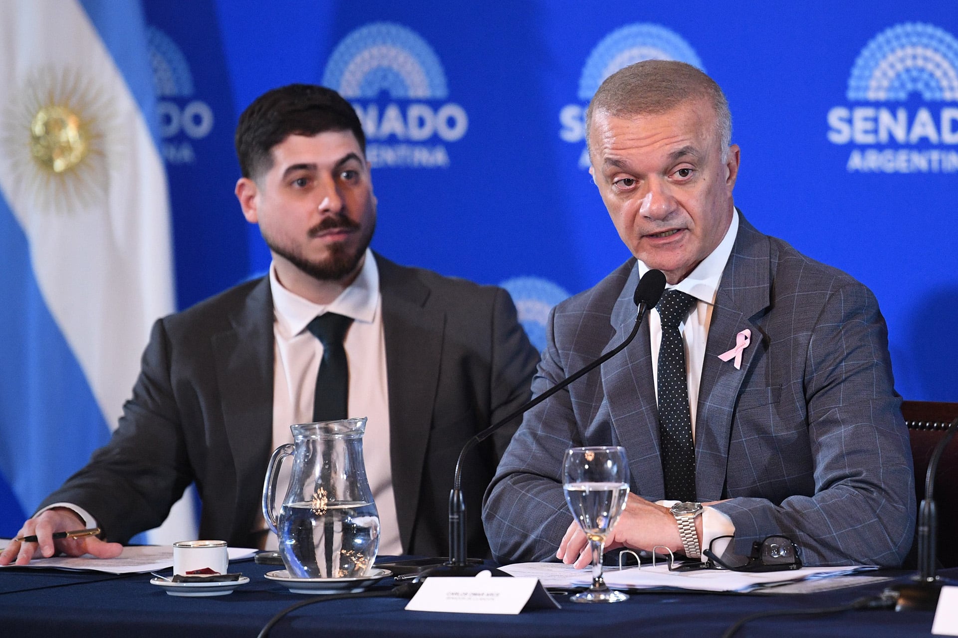 El vocal de la comisión de Acuerdos, el misionero Carlos Arce, tuvo que hacerse cargo del comando de la audiencia pública de ayer en la Cámara alta (Prensa Senado)