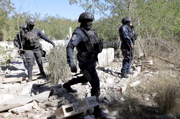 Ambas instalaciones clandestinas contenían cientos