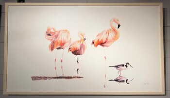 Una de las fotografías de