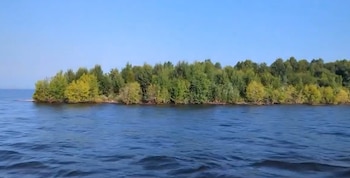 Una isla cubierta de árboles verdes en medio de un lago azul bajo un cielo despejado