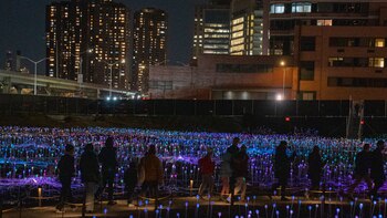 La Freedom Plaza de Nueva