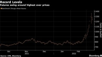 Imagen FWY7SWS7UBHVFBLGE553GHGKOI