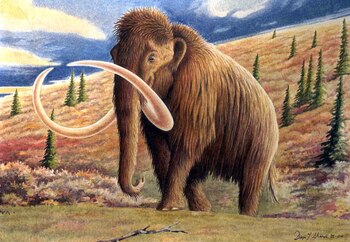 Ilustración de un Mamut.