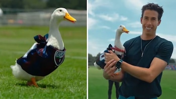 El Pato Merlín fue fichado por el Atlante: así fue la presentación de la mascota mundialista