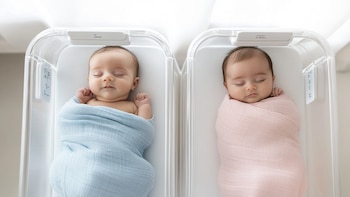 El origen evolutivo de la