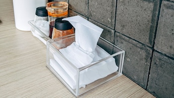 Los modelos Cloudy Ecológica, Bio