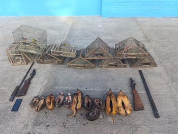 En Quilino, la Patrulla Rural allanó la vivienda de un hombre de 43 años y secuestró escopetas, cartuchos, tramperos, una jaula y un Volkswagen Gol