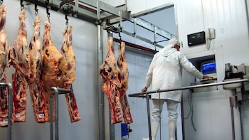 Paraguay simplificará los trámites para