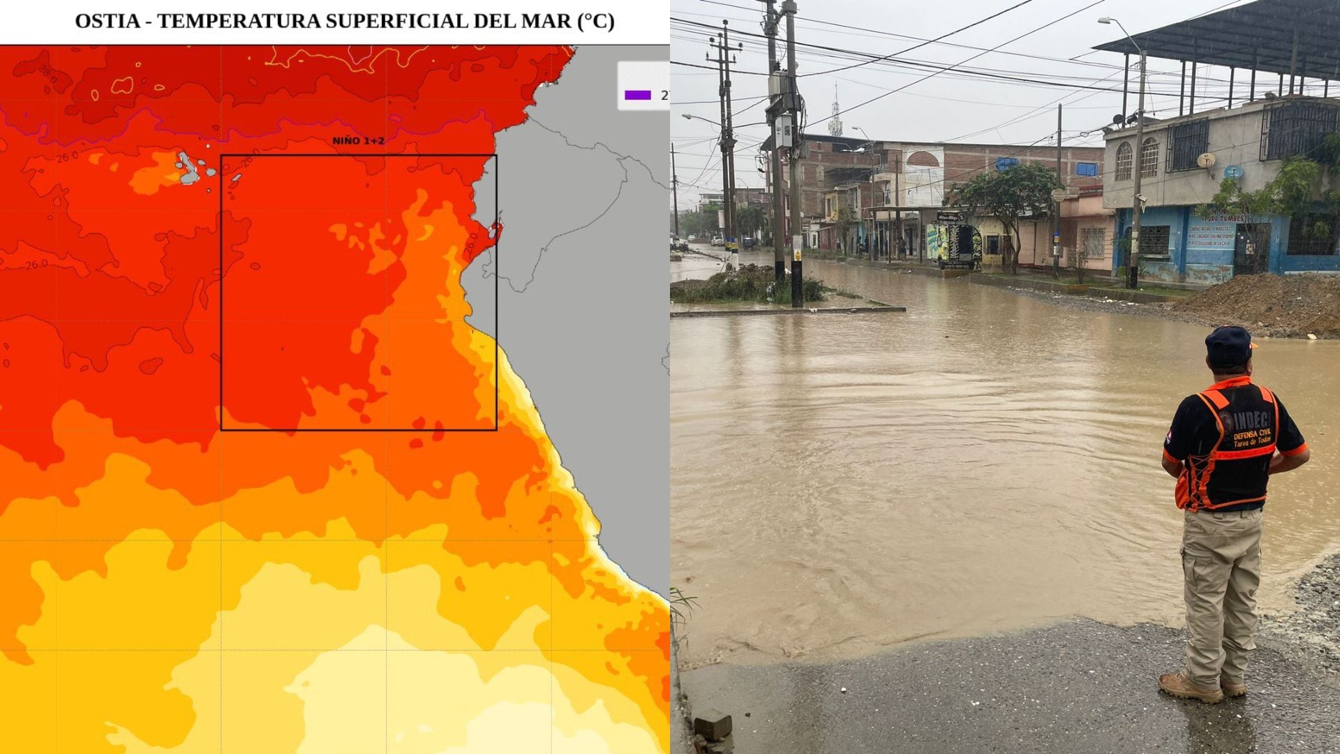 El aumento de la temperatura del océano Pacífico plantea riesgos elevados para la costa norte y central de Perú según expertos internacionales. (Andina)