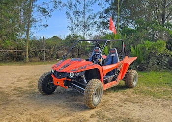 El hecho reavivó el llamado