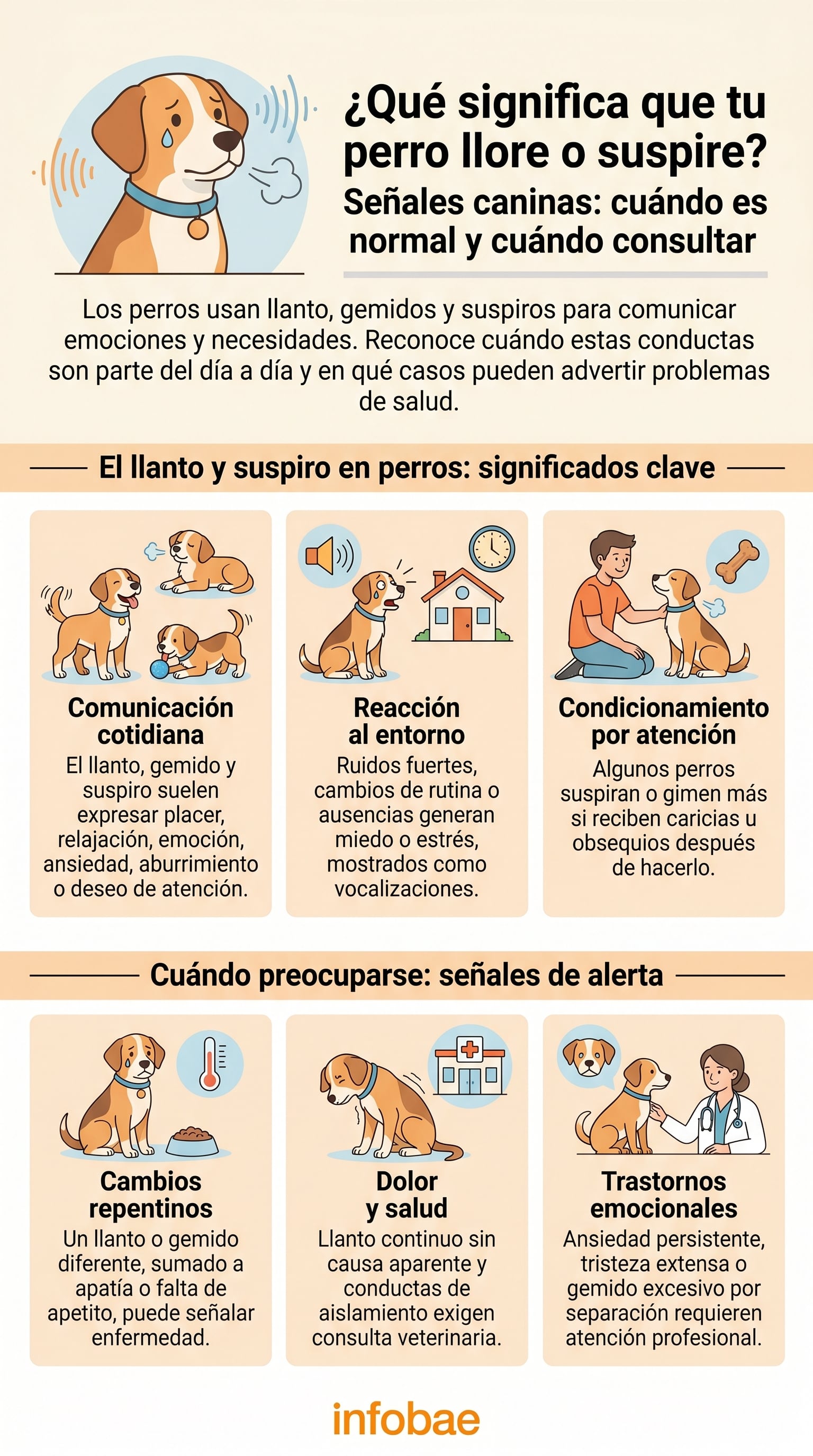 El llanto y el suspiro son conductas frecuentes en la comunicación emocional de los perros (Imagen Ilustrativa Infobae)