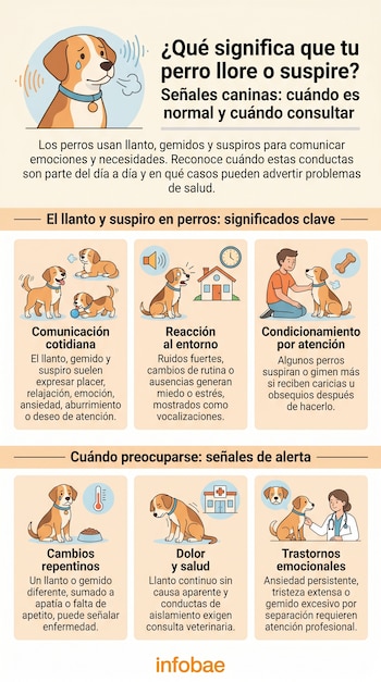Infografía sobre las emociones de los perros. Ilustraciones de perros llorando o suspirando en diversas situaciones y dueños interactuando, con texto explicativo.