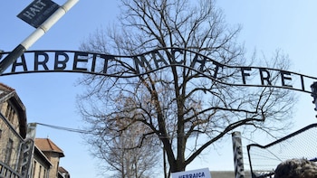 El cínico cartel en la