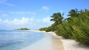 Vídeo: San Andrés filmou um