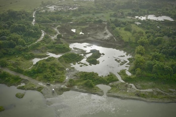 Las personas detenidas en operativos del Senpa subieron a 7,685 y los vehículos retenidos aumentaron a 2,332 en los primeros siete meses de 2026. (Foto: Ministerio de Medio Ambiente/ ARCHIVO)