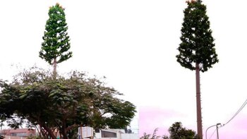 En Lima, algunos parques albergan